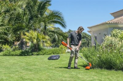 Rifinitura e pulizia giardino